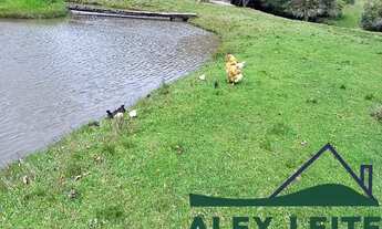 Imagem 2: Atenção leia todo anúncio.Vende-se lindo sítio de 24 Hectares na cidade de Piratini/RS