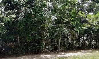 Imagem 4: Alphaville Manaus 2 Quitado com 454 m2