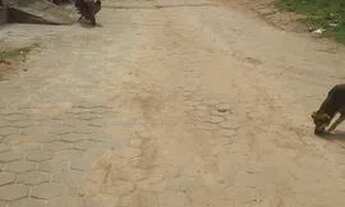 Imagem 2: Vendo terreno 275m²