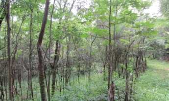 Imagem: Chácaras na Serra do Cipó