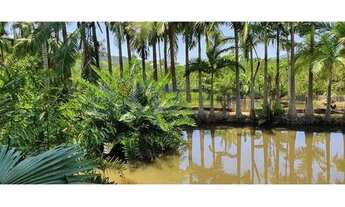 Imagem: Fazenda/Sítio/Chácara para venda possui