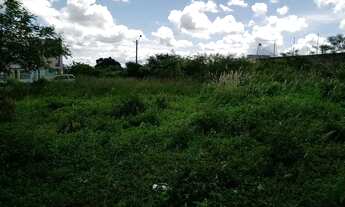 Imagem 6: Terreno no Luiz Gonzaga 12x30