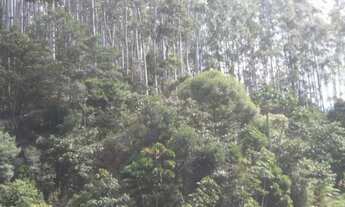 Imagem 6: Sitio são bento uraina 5 alqueires