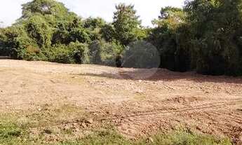 Imagem 6: TERRENO COMERCIAL E INDUSTRIAL NA CRISTOVÃO COLOMBO, AO LADO DA KLABIN