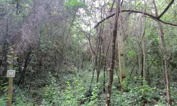 Imagem 4: Chácaras na Serra do Cipó