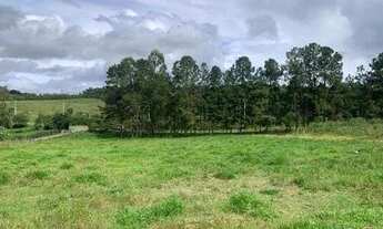 Imagem 2: Vende-se lotes de Mil Metros em Sarapui