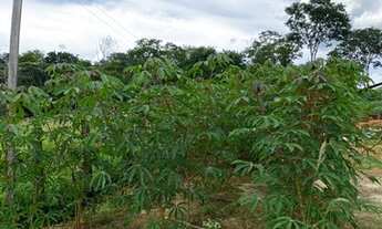 Imagem: Vende-se chácara