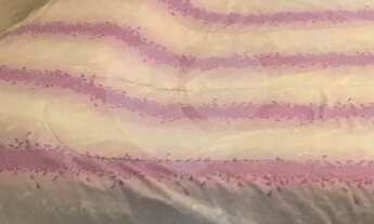 Imagem 6: Excelente Apartamento de 3 Dormitórios e suíte na Saúde