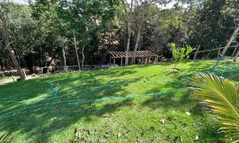 Imagem 7: Chácara a Venda em Pompéu 10.000m2