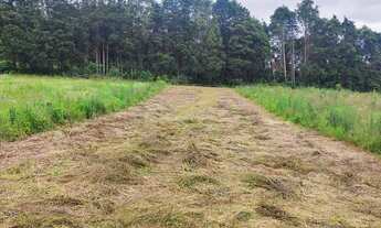 Imagem 8: Lote/Terreno para venda com 500 metros quadrados em Jardim Lavapes das Graças - Cotia - SP
