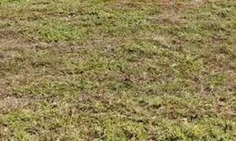 Imagem 3: Terras Alpha Residencial 02 - Escriturado e Quitado