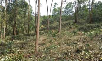 Imagem 6: 4MIL M2,CAETÉ-SABARÁ,ÁGUA, LUZ,30KM DE BH, LINDA!!!!