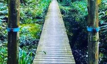 Imagem 7: Excelente terreno na Praia