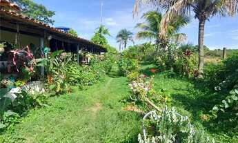 Imagem 2: Chácara DF 260 Café sem troco São Sebastião