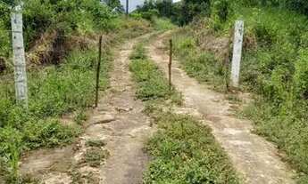 Imagem 7: Chácara em Senador Canedo- Go