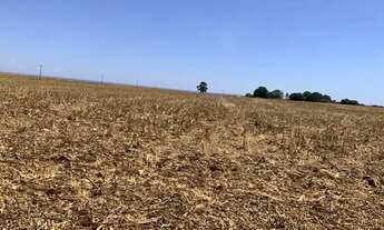 Imagem 2: Fazenda 840 alqueires em Tocantins