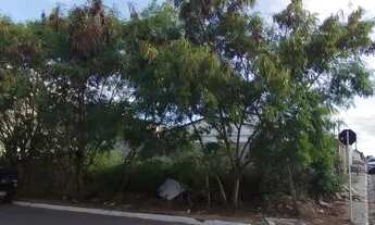 Imagem 3: Terreno na rua professor domingos correia
