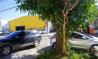 Imagem 6: Casa para Aluguel - Floresta, 4 Quartos, 308 m2