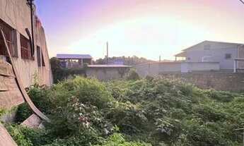 Imagem 3: Terreno vazio para aluguel