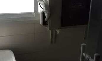 Imagem 2: Apartamento para aluguel possui 67 metros quadrados com 2 quartos