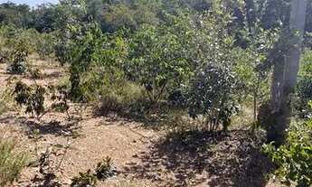 Imagem: TERRENO PARA CHÁCARA EM UNAÍ