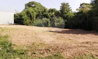 Imagem 5: TERRENO COMERCIAL E INDUSTRIAL NA CRISTOVÃO COLOMBO, AO LADO DA KLABIN