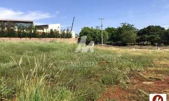 Imagem 3: Terreno (terreno normal