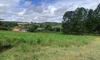 Imagem 7: Vende-se lotes de Mil Metros em Sarapui