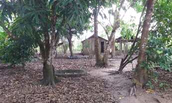 Imagem 6: Vendo lote rural