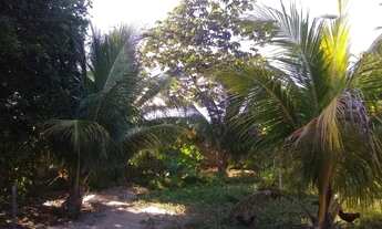 Imagem 3: Terrenos de 300m2