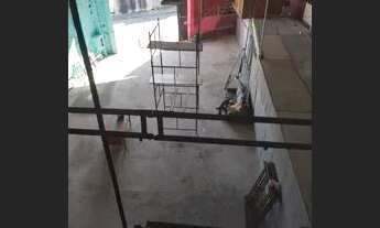 Imagem 2: Casa e galpao Casa com 4 dormitórios