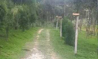 Imagem 6: Chácara formada, 12mil metros quadrados