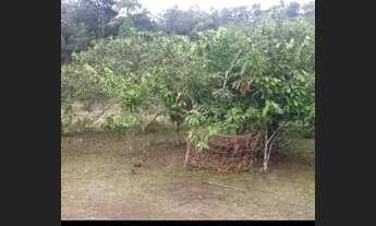 Imagem 5: Vende-se ou troco por casa carro caminhao