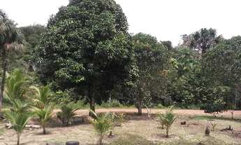 Imagem 3: Vende-se Sítio Ramal Boa Sorte