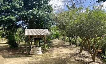 Imagem 3: CHÁCARA COM 2 HECTARES - RIO GABIROBA - SÃO MARTINHO-SC