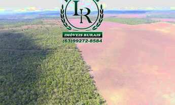 Imagem 3: Fazenda Oportunidade 127 Alqueires Próximo a Palmas