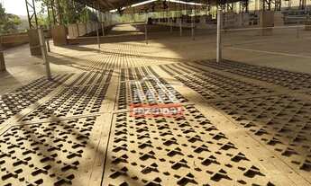 Imagem 5: Sitio 14 Alqueires (67,76 Hectares) Orizona - GO