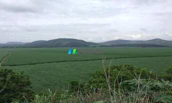Imagem 7: FAZENDA À VENDA - 4.665 HECTARES - REGIÃO DE PONTE NOVA (MG