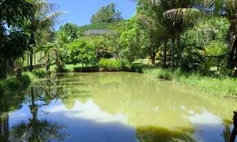 Imagem 4: Chacara 3200m2 a 15 minutos do centro de Castelo