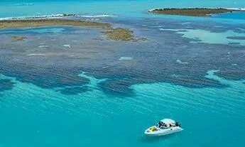Imagem: Alugo Casa Grande e Ventilada por Temporada