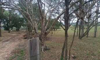 Imagem 6: Sítio em Limeira