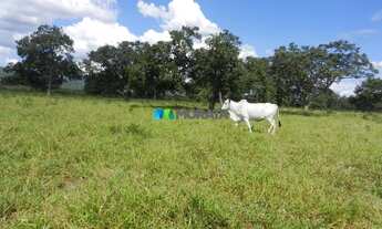 Imagem 5: FAZENDA À VENDA - 1.033 HECTARES - ENGENHEIRO DOLABELA (MG