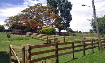 Imagem 3: Fazenda de 32 alqueires em Faina-GO