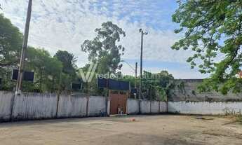 Imagem 6: Terreno - Chácaras Campos Elíseos - Campinas