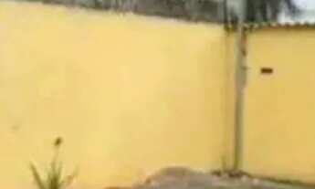 Imagem: Casa em capim macio