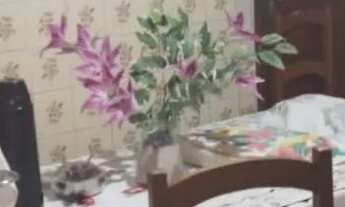 Imagem 7: Vendo ótima casa na cidade nova 5 we29