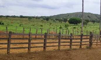 Imagem 4: Fazenda 1.512 há, casa sede e de caseiro, nascentes, com acesso ao rio cipó