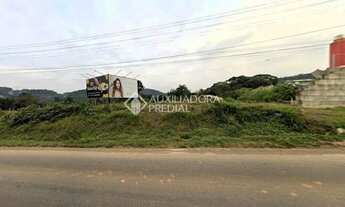 Imagem 3: Area de terras na BR116 em Estancia Velha