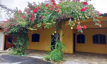 Imagem 2: Matinhos por dia