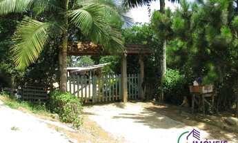 Imagem 5: AREA - LARANJA AZEDA - SP